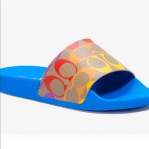 Coach pride slides
